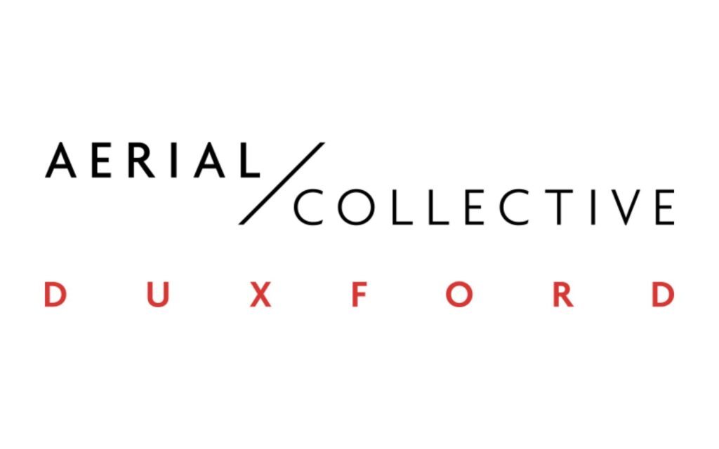 Aerial Collective Flight Experiences
